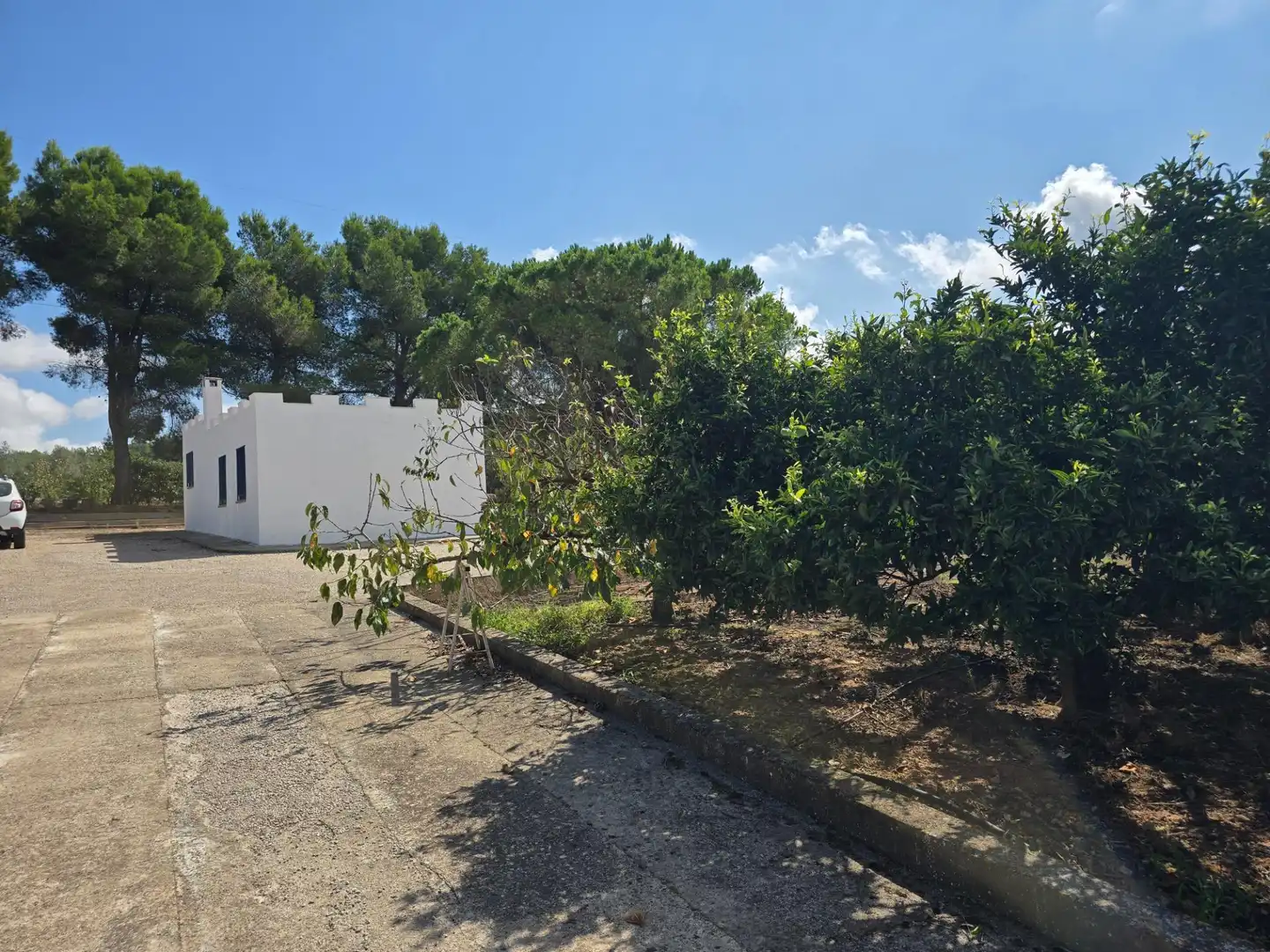 Jardín de Finca rústica en venta en Freginals con Jardín privado