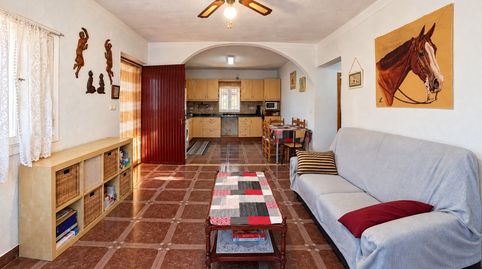 Finca rústica de 4316 m con vivienda, piscina y olivar en Segorbe, imagen 4