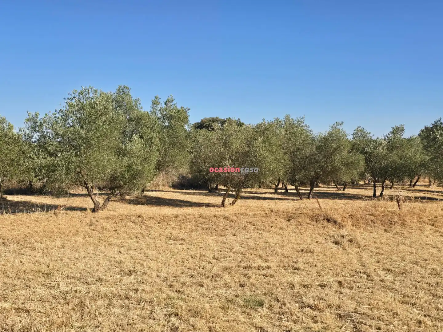 Houses for sale in Añora, Córdoba
