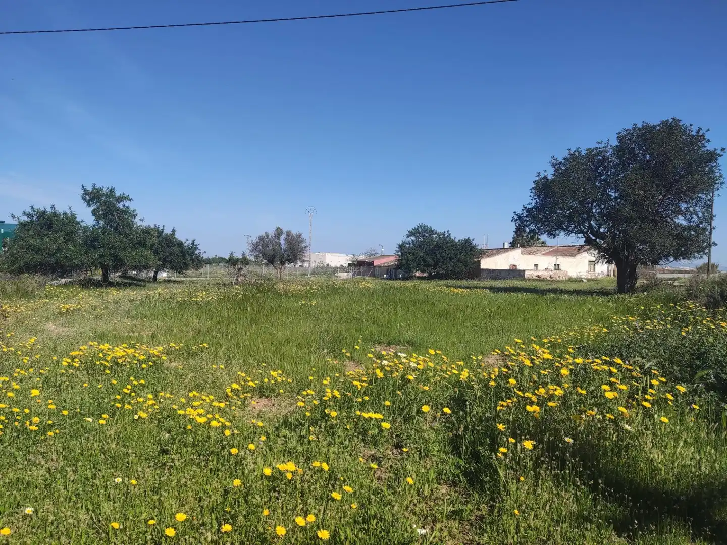Finca rústica en venda en Cartagena