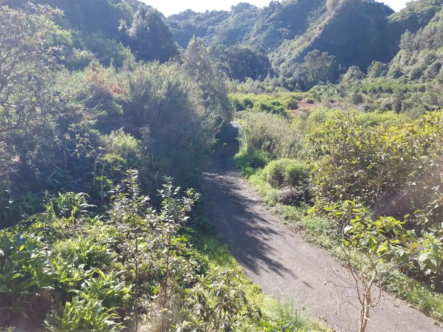 Außenansicht von Grundstücke zum Verkauf in Valleseco