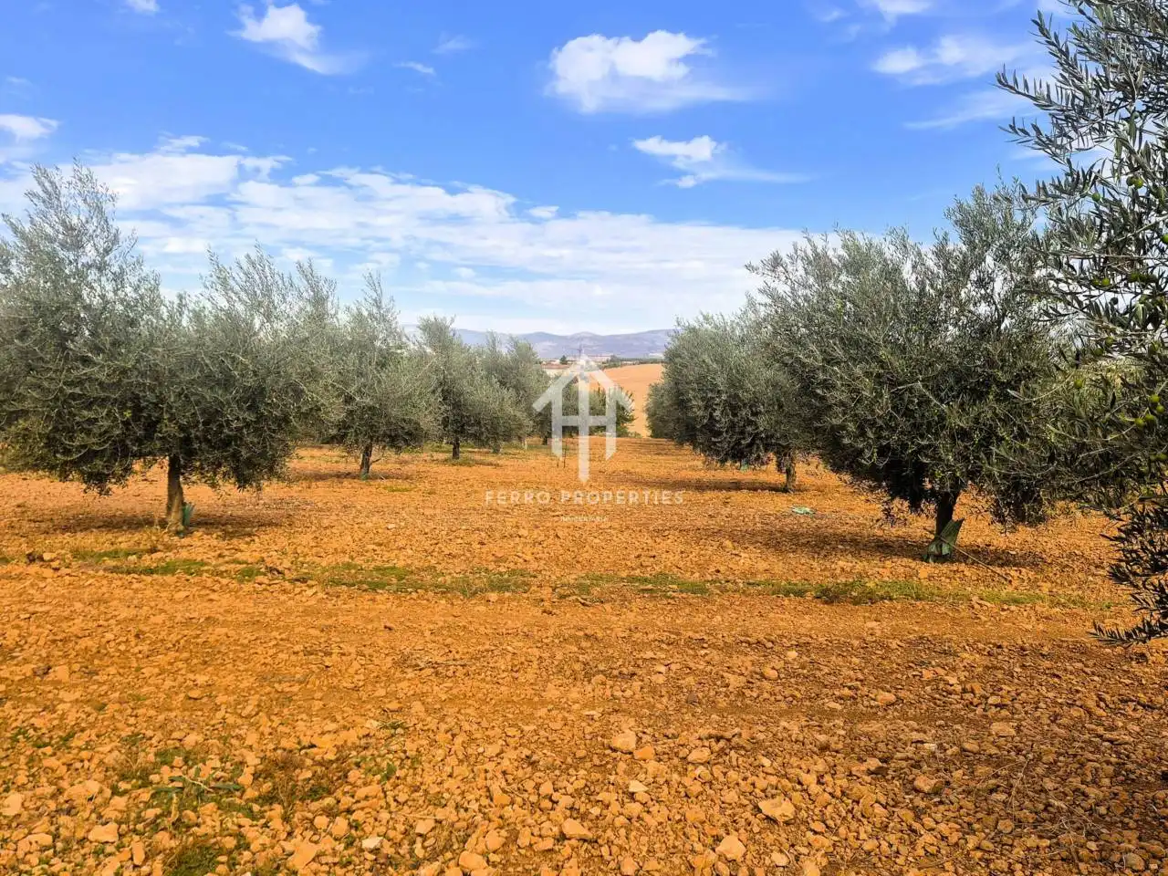 Rural land for sale in Moraleda de Zafayona, imagen 16