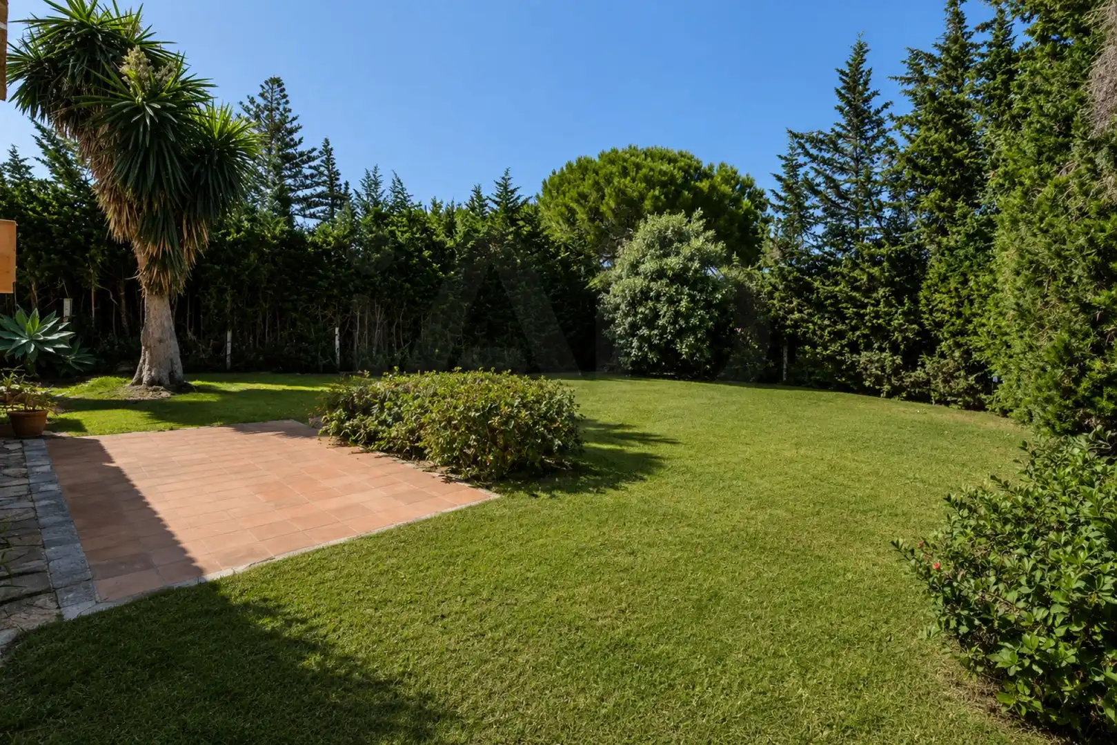 Jardí de Casa o xalet en venda en Marbella amb Aire condicionat i Terrassa