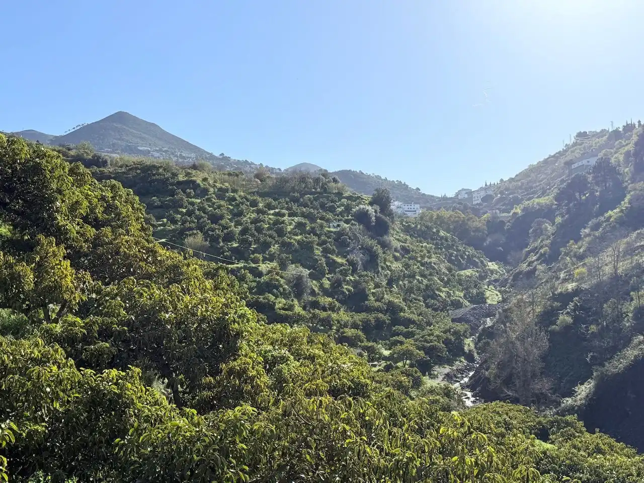 Exterior view of Land for sale in Canillas de Albaida