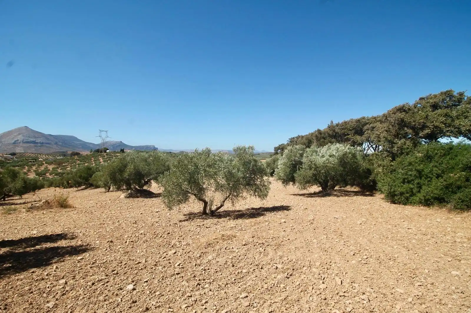 Casa rústica en venda a Bobadilla - Bobadilla Estación - La Joya, imagen 20