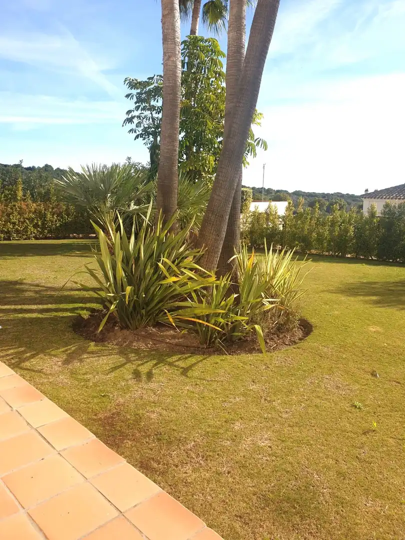 Jardí de Casa adosada de lloguer en Sotogrande amb Aire condicionat, Jardí privat i Piscina