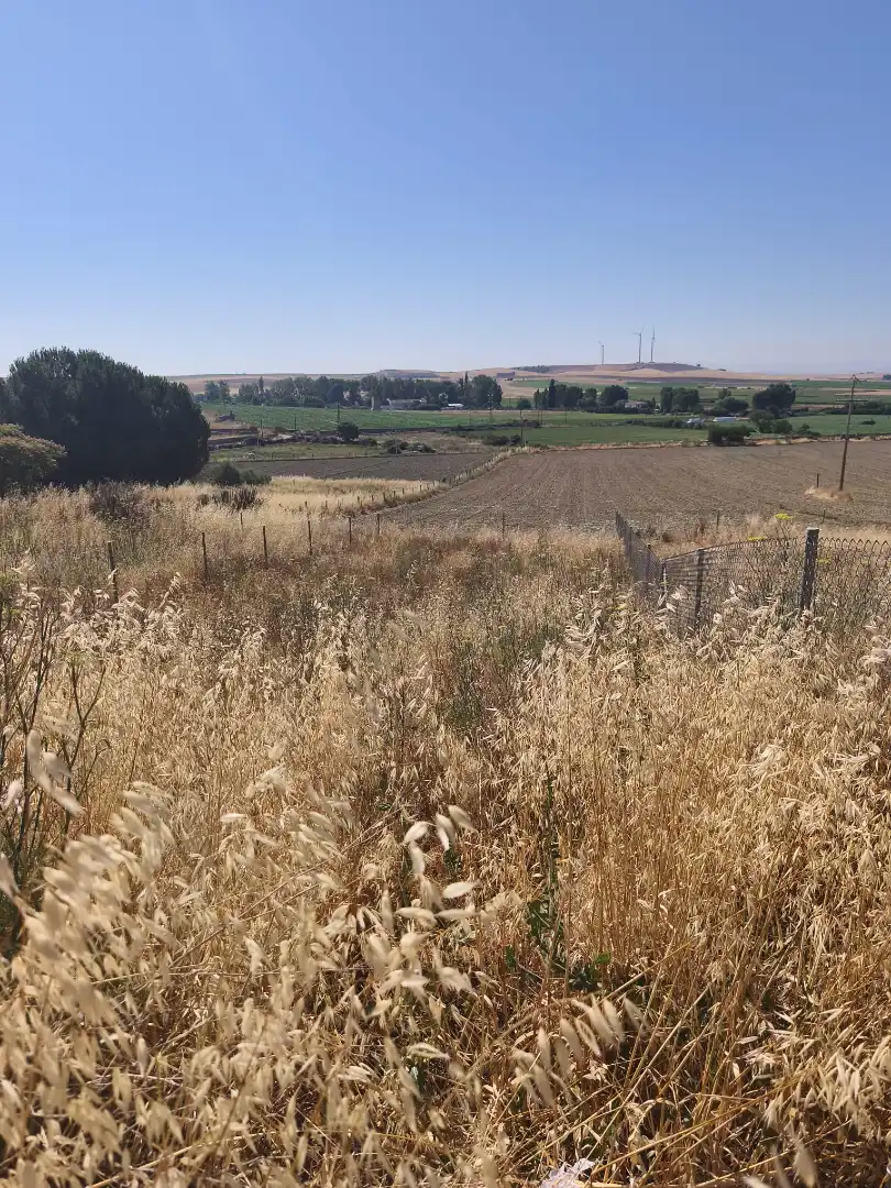 Terreny residencial en venda a Calle Corrales de la Dehesa 26