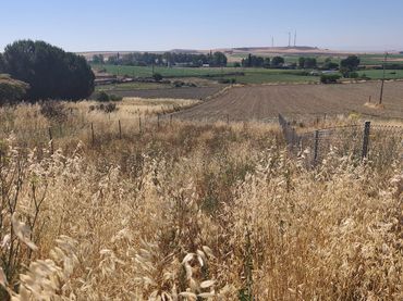 Terreno residencial en venta en Calle Corrales de la Dehesa 26