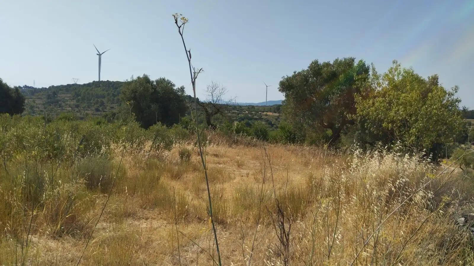 Terreno rústico en venta en Vilalba dels Arcs, imagen 13