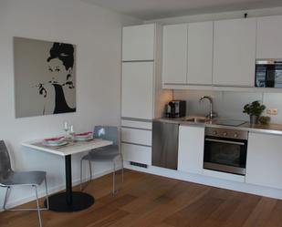 Kitchen of Study to rent in Badajoz Capital  with Furnished and Pets allowed