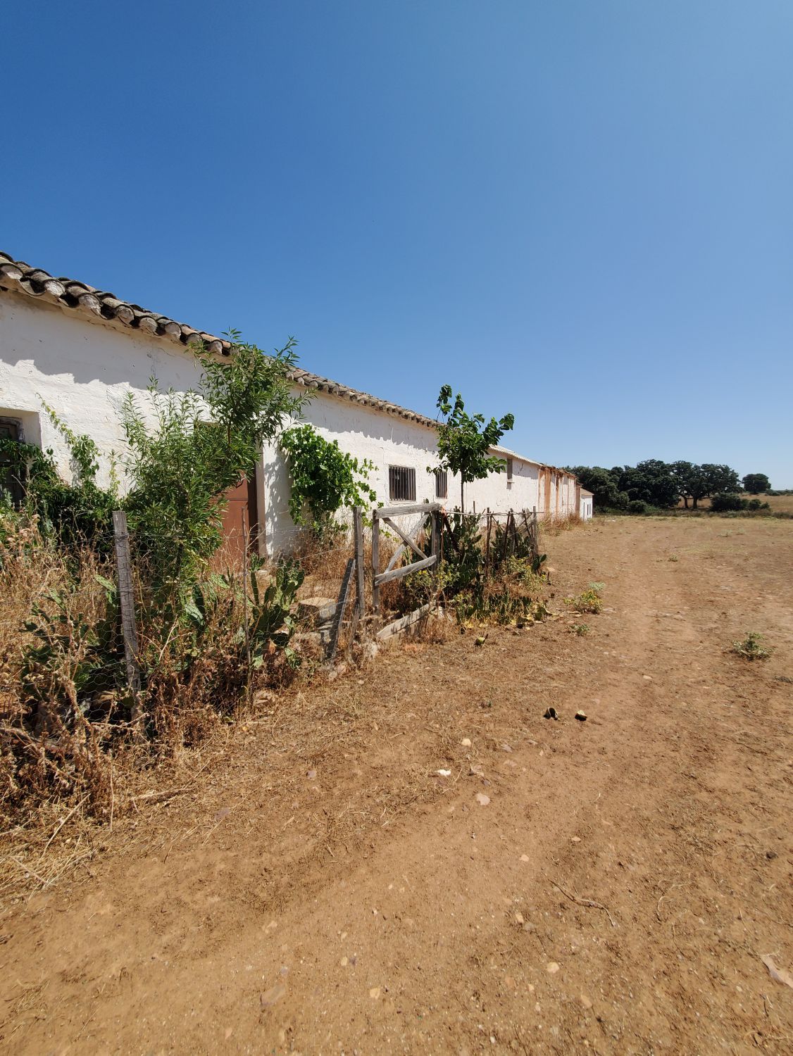 Vista exterior de Finca rústica en venda en El Viso de San Juan