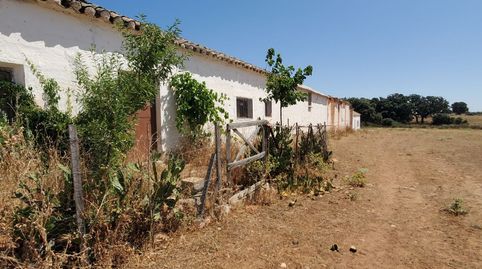 Finca Rúst. en venta en Ciudad Real., immagine 2