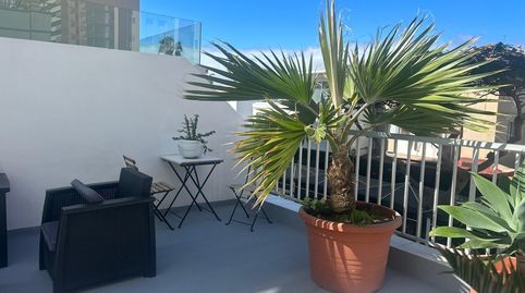 Foto 2 de Apartament de lloguer a Zona Martiánez, Puerto de la Cruz