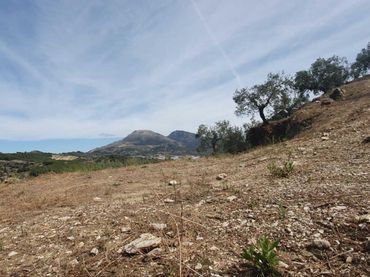 Terreni e lotti in vendita a Yunquera