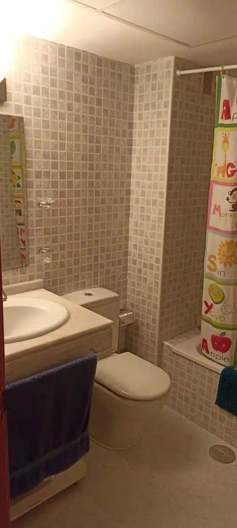 Bany de Apartament de lloguer en Alicante / Alacant amb Terrassa, Moblat i Balcó