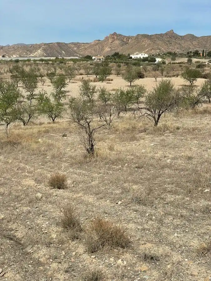 Rural land for sale in Huércal-Overa, imagen 4