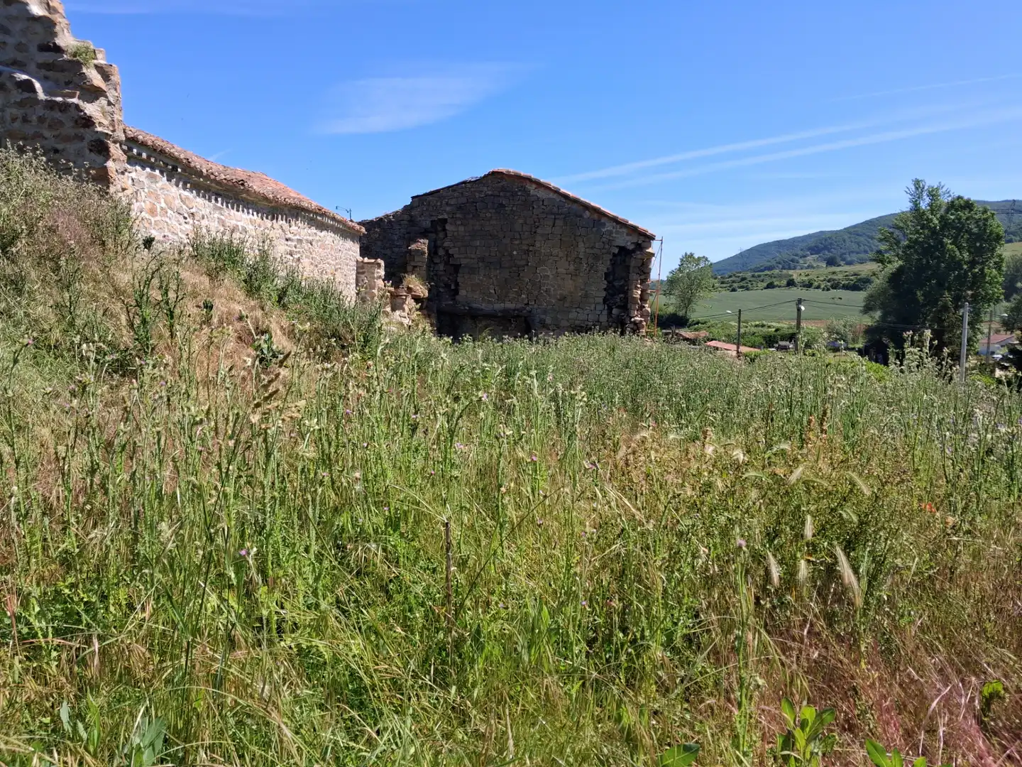 Terreni e lotti in vendita a Diseminado Diseminados Q Hr 16, imagen 12