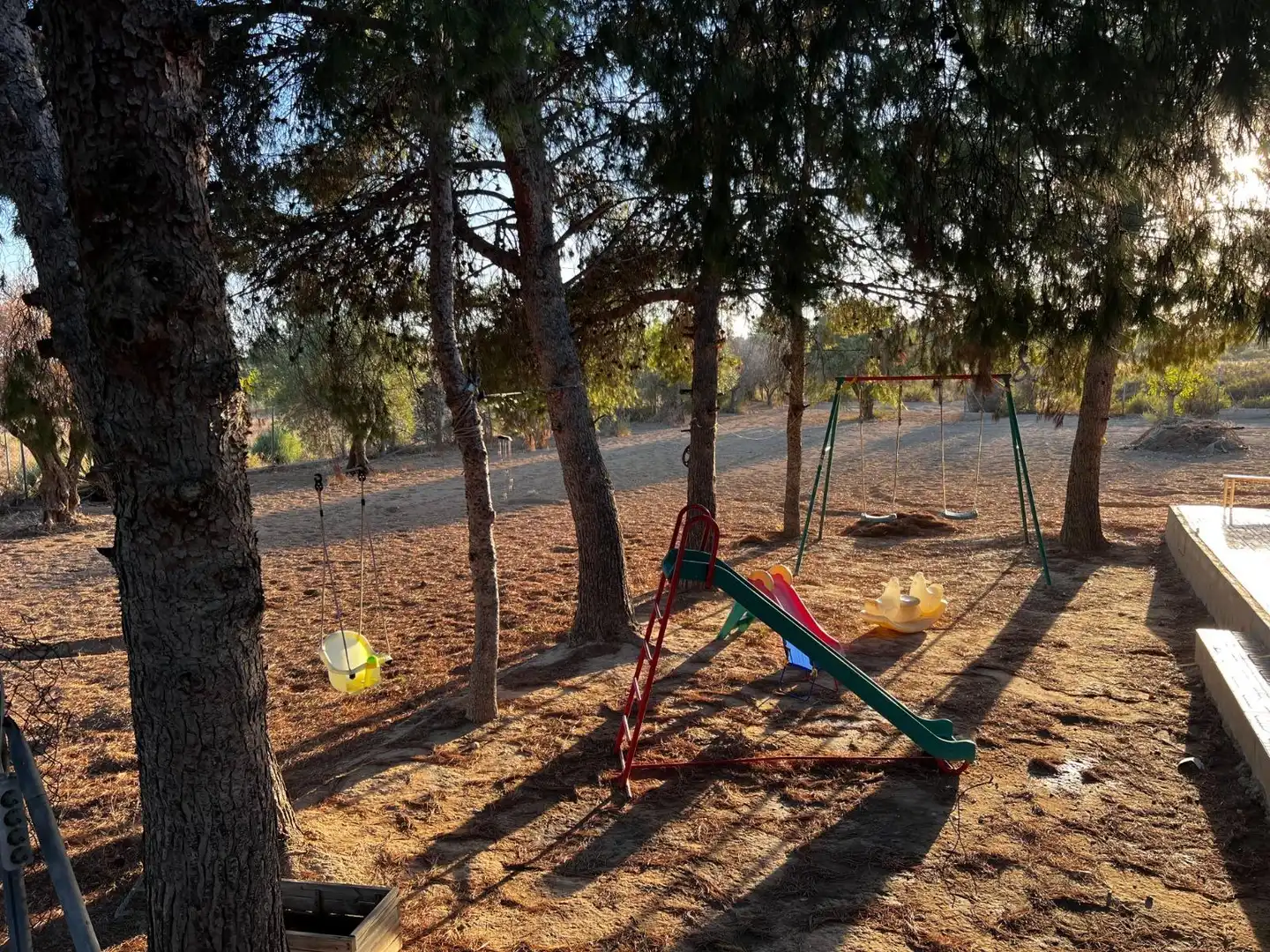 Jardí de Casa o xalet en venda en Elche / Elx amb Jardí privat, Terrassa i Traster