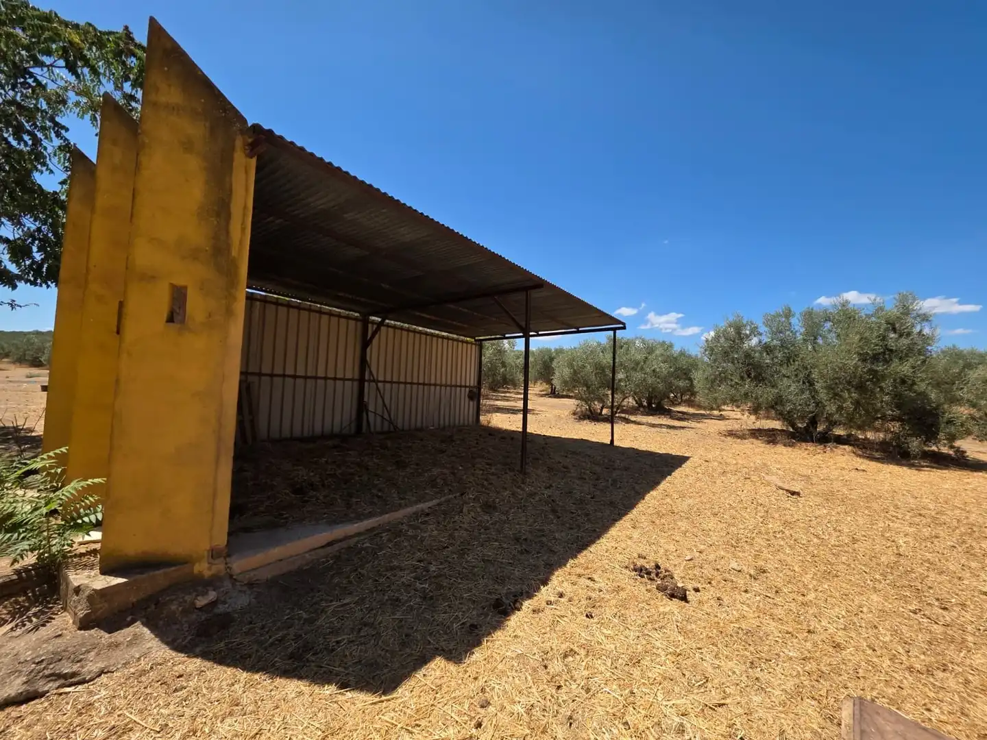Maison rustique à vendre à Barrio Antequera, imagen 39