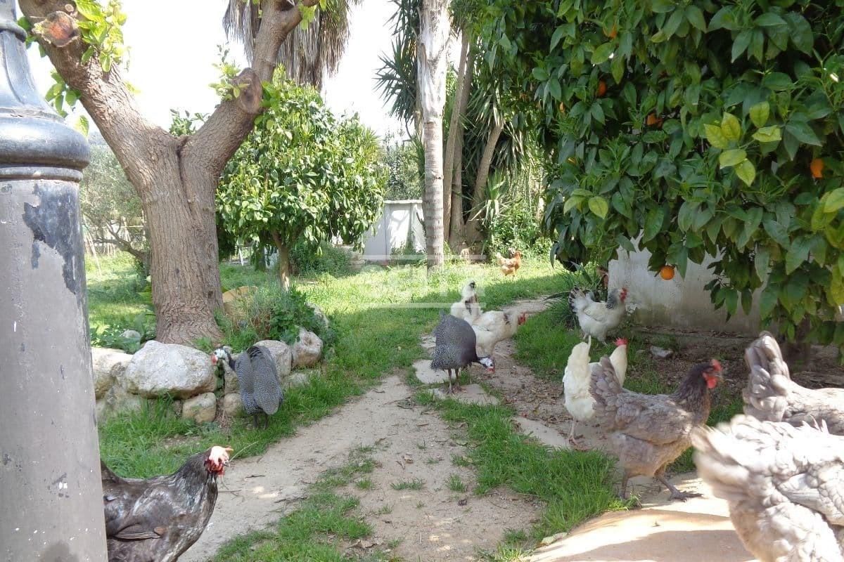 Casa o chalet en venta en Bellvei