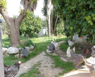 Casa o xalet en venda a Bellvei