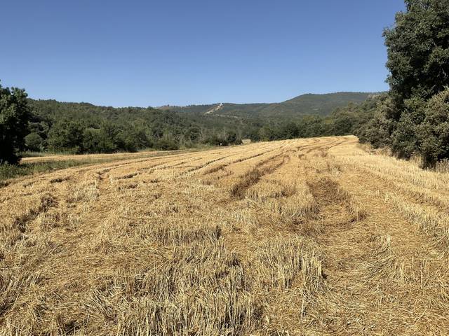 Terreno residencial en Venta en Naval