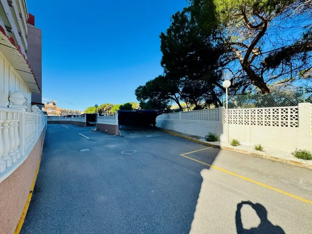 Apartament amb piscina en venda a La Mata, imagen 8