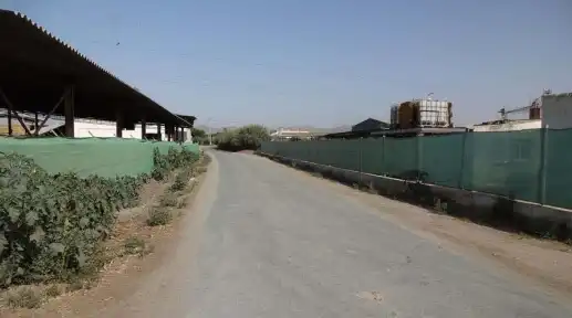 Terreny rústic en venda a Diputación del Esparragal, Pol 4, imagen 10