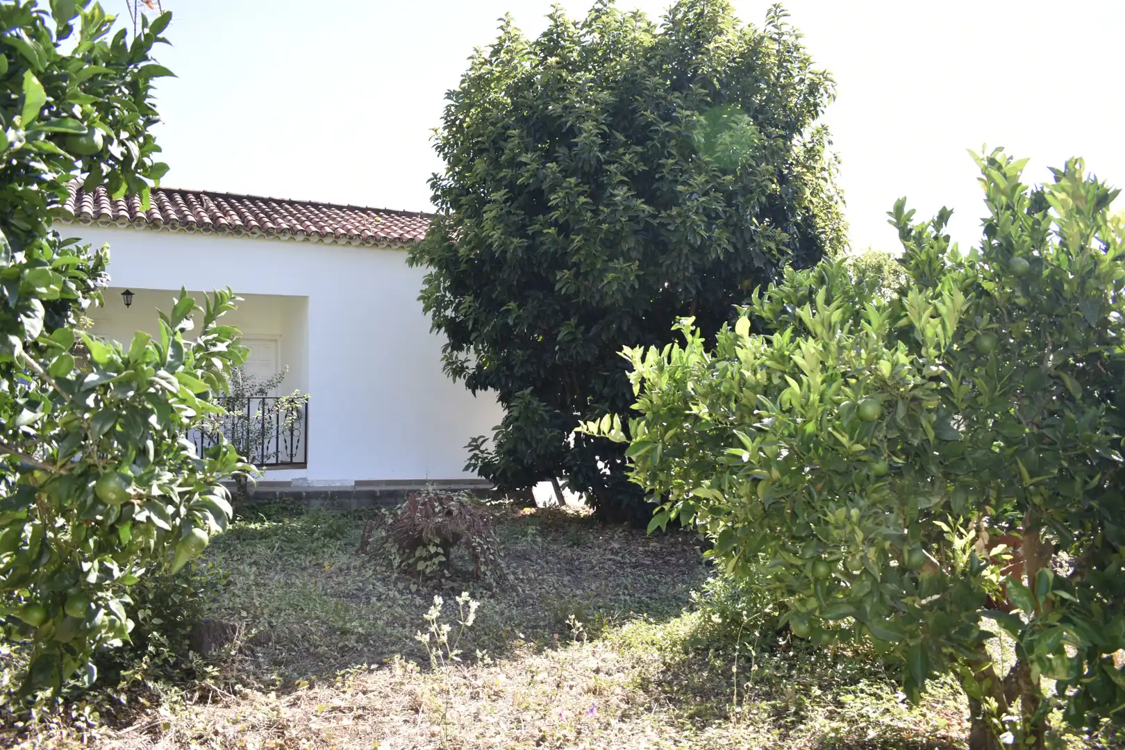 Jardí de Casa o xalet en venda en Teror amb Calefacció, Jardí privat i Terrassa