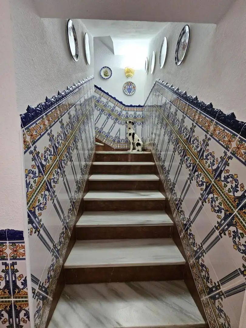 Casa amb terrassa en venda a Vejer, imagen 35