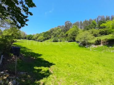 Terreno rustico in vendita a N/A