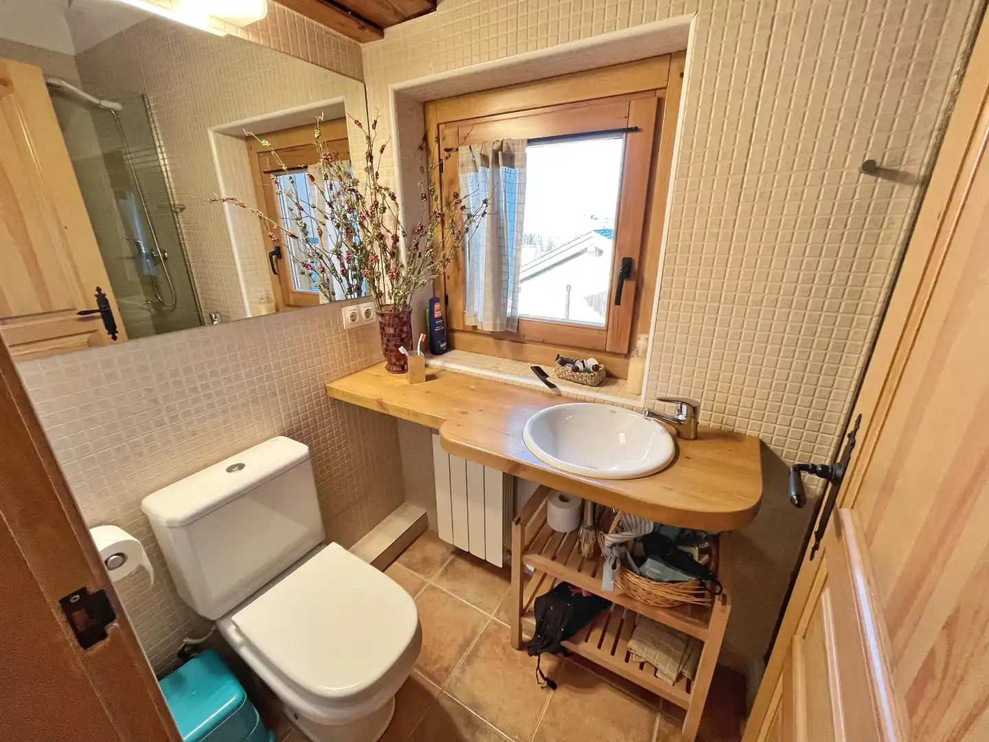 Baño de Casa o chalet en venta en Alp poble