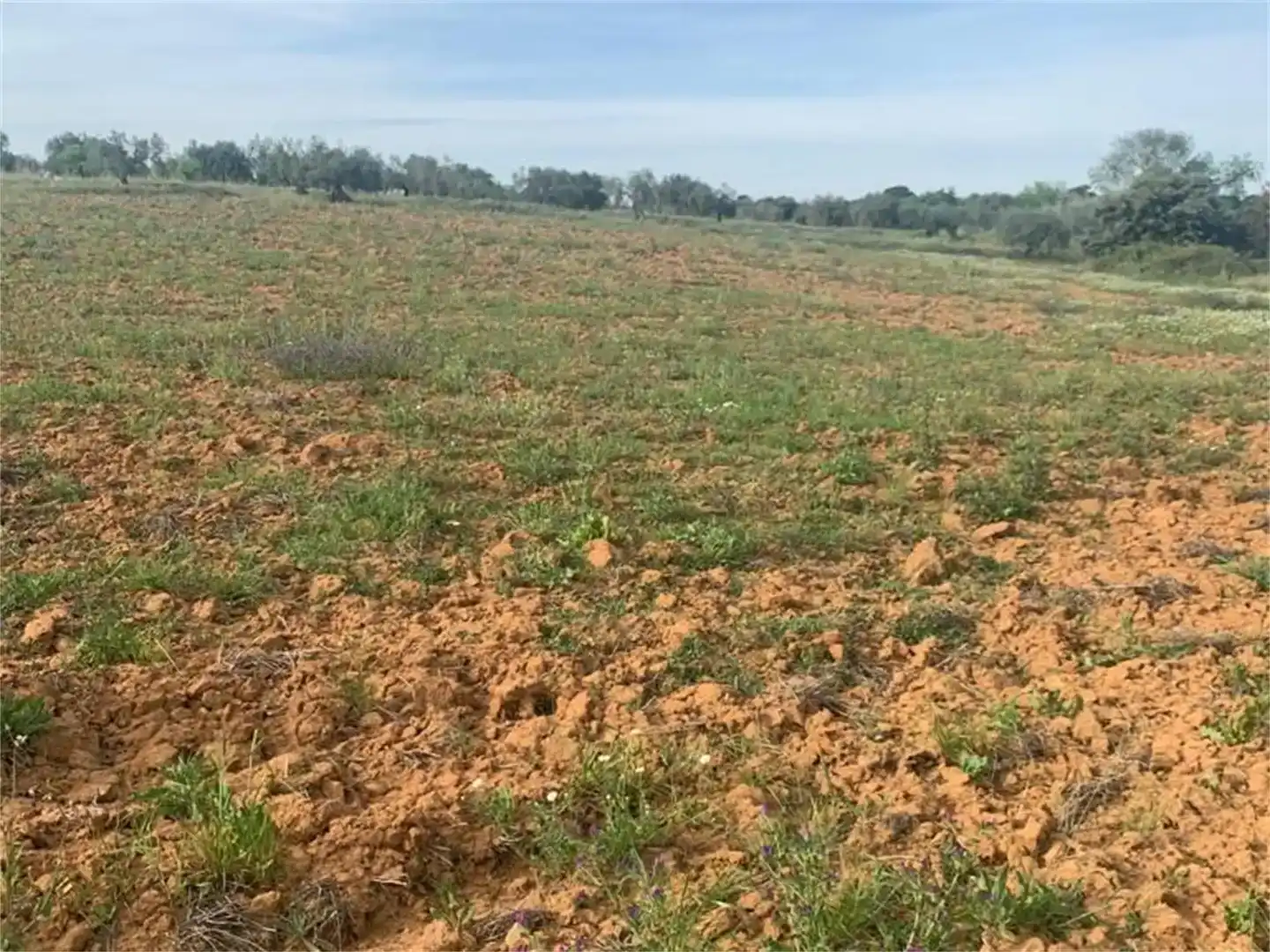 Finca rústica en venda en Don Álvaro, Badajoz