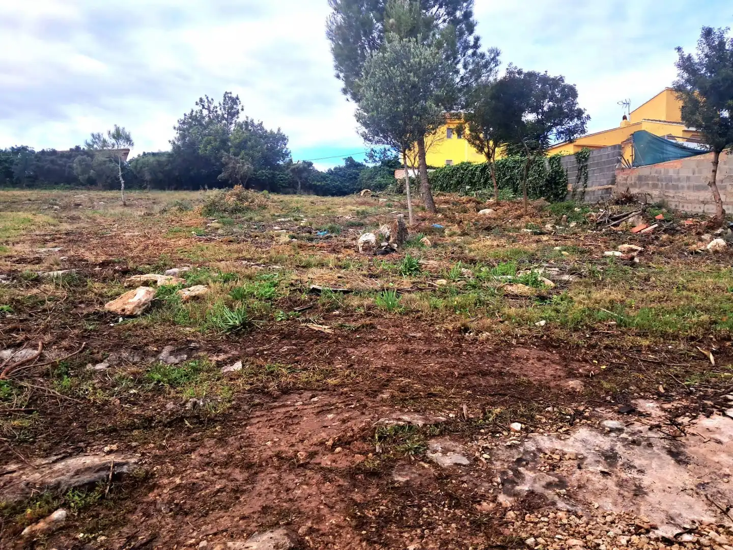 Terrenos y solares en venta en Calle El Pedregal, imagen 2