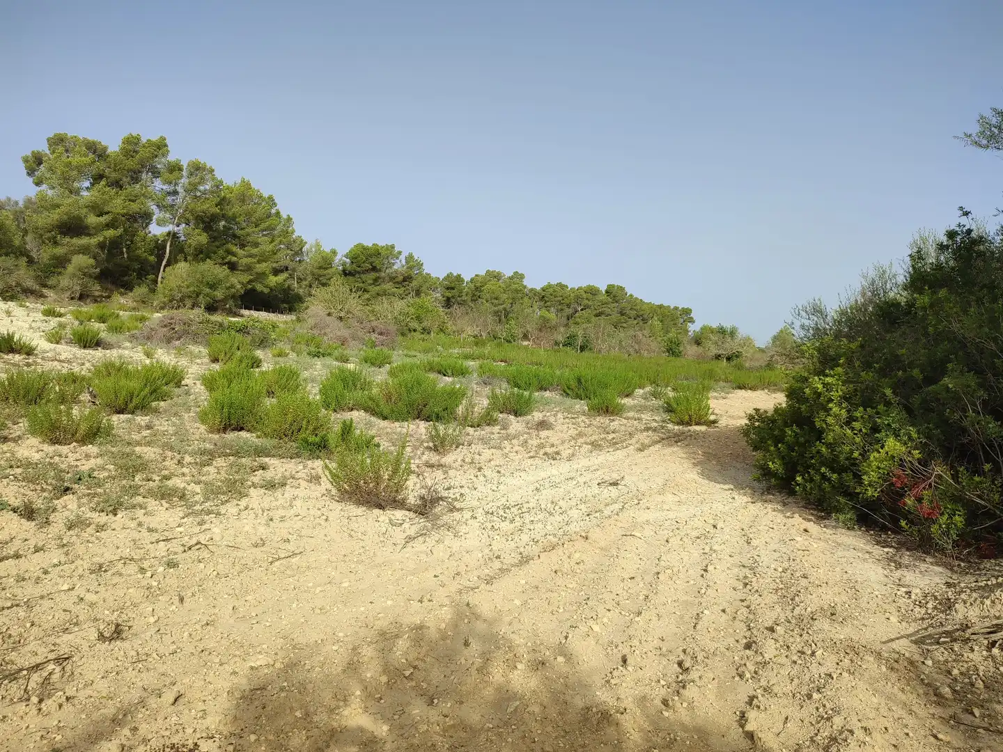 Terreny residencial en venda a Sant Joan, imagen 8
