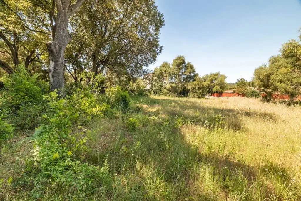 Terreno rustico in vendita a Pollença Poble