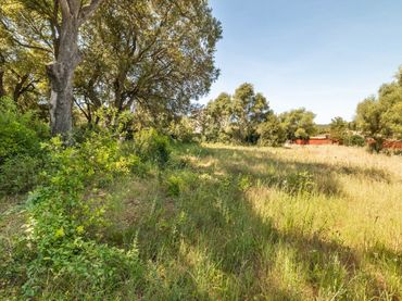 Terreno rústico en venta en Pollença Poble