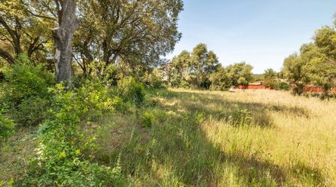 Parcela residencial edificable en venta cerca de Pollensa, Mallorca