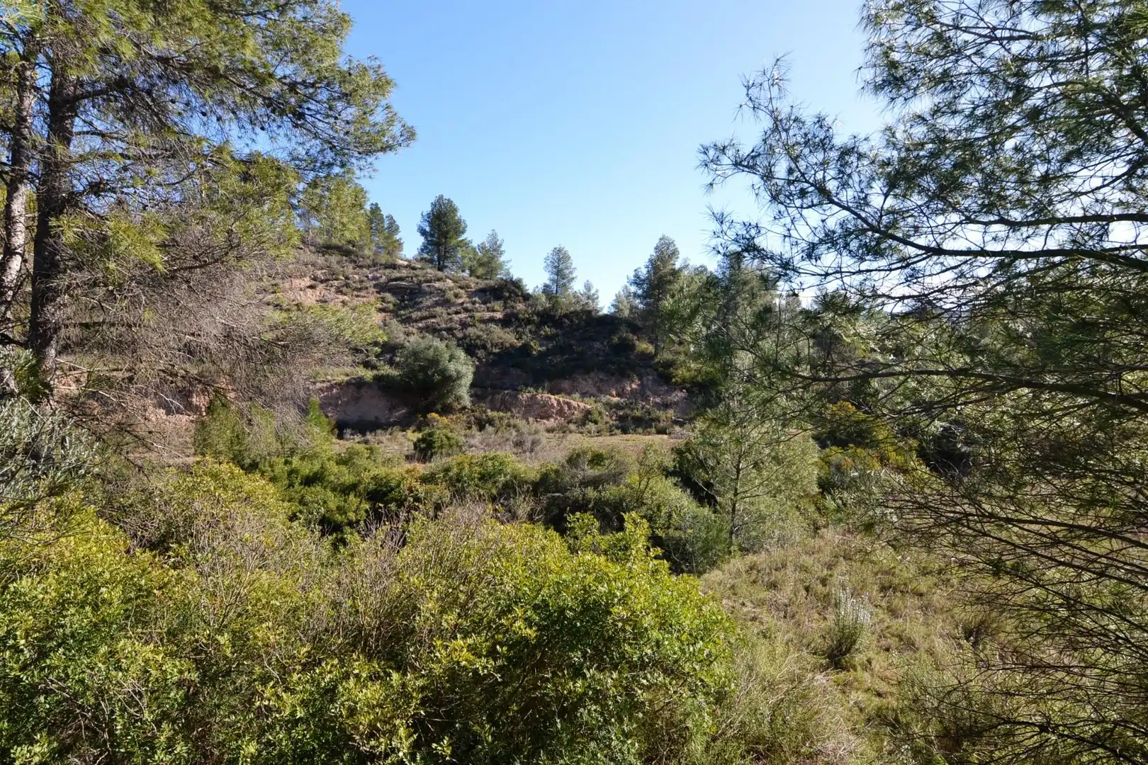 Rural land for sale in Ascó, imagen 4