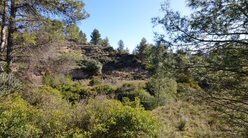 OCASION FINCA RUSTICA DE SECANO DE 2,4 HAS EN ASCO Ribera dEbre, immagine 4