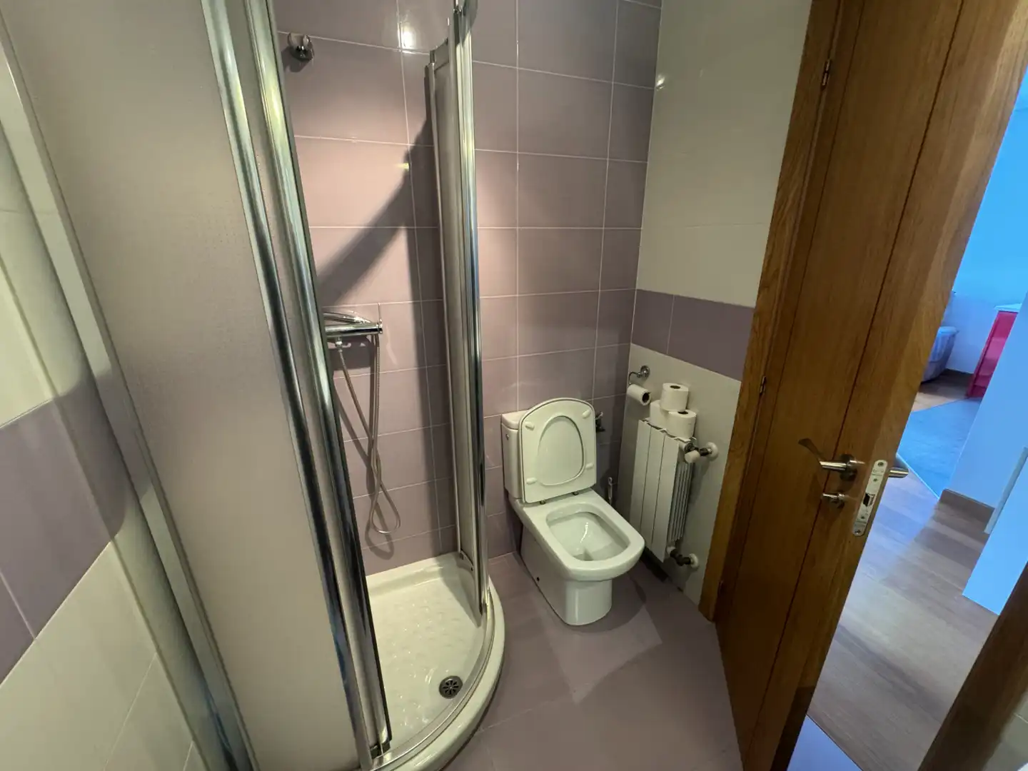 Baño de Planta baja en venta en Castro-Urdiales con Calefacción, Jardín privado y Parquet