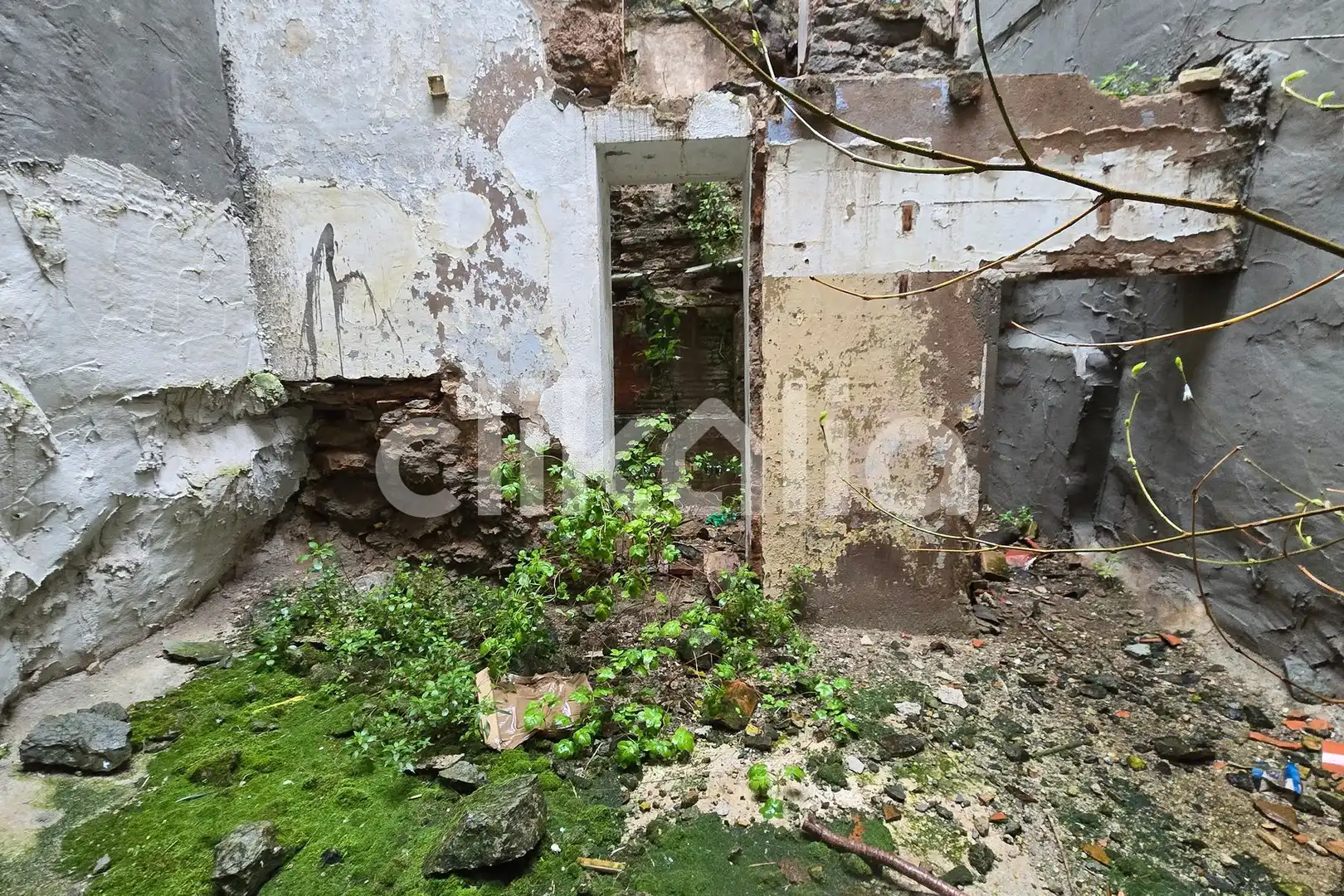 Jardín de Casa o chalet en venta en Monistrol de Montserrat