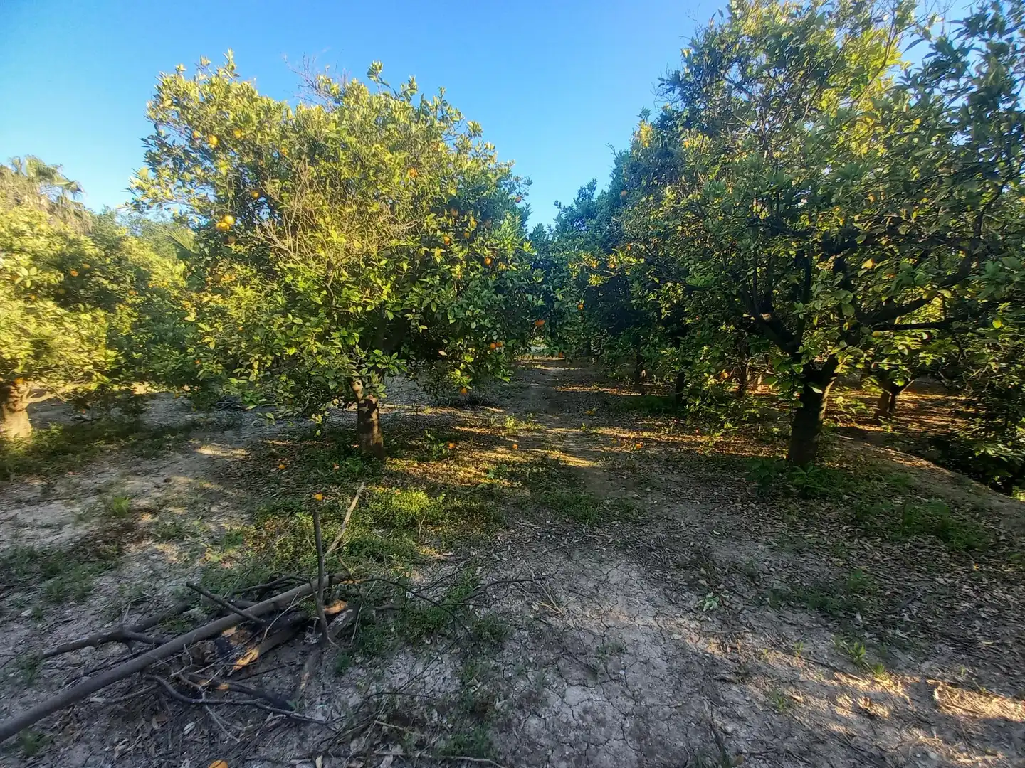 Residencial en venta en Algorós - El Derramador