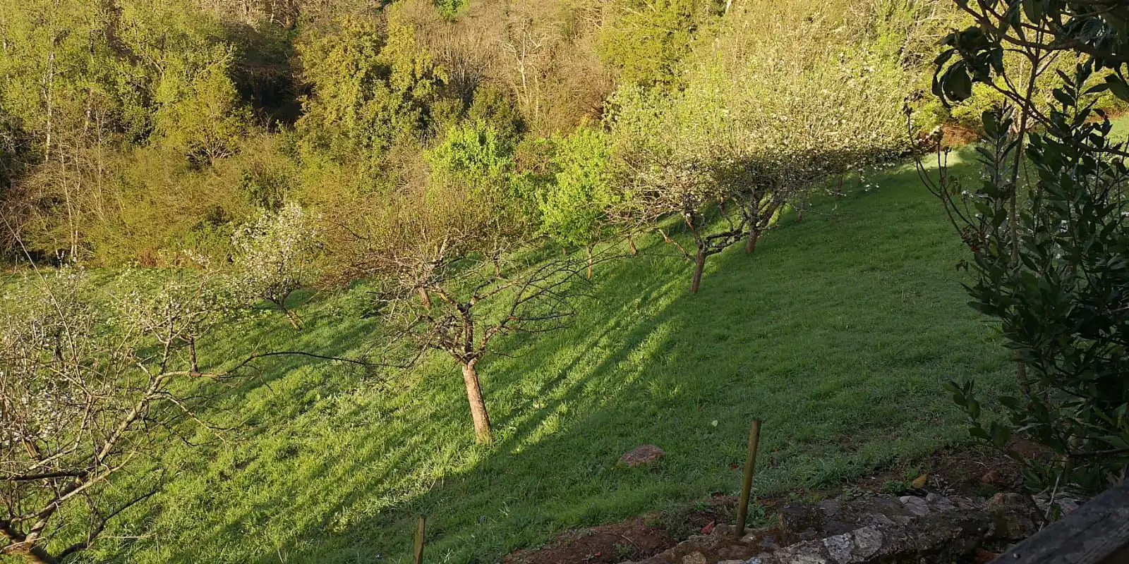 Terrenos y solares en venta en Cuadroveña, imagen 3