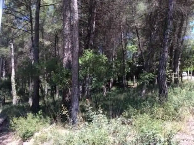 Terreno residenziale in vendita a Seva, imagen 3