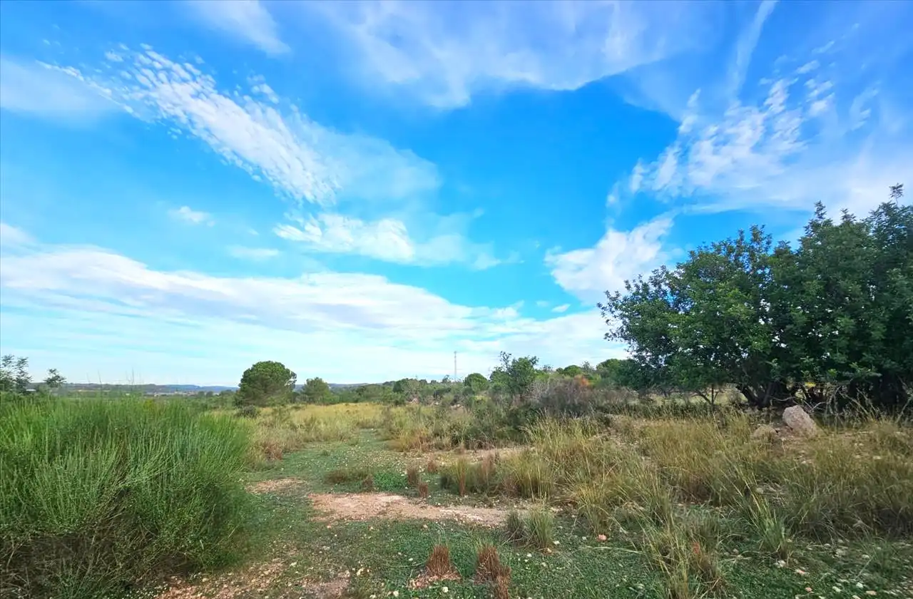 Residential land for sale in Proc. Simplificado, imagen 5