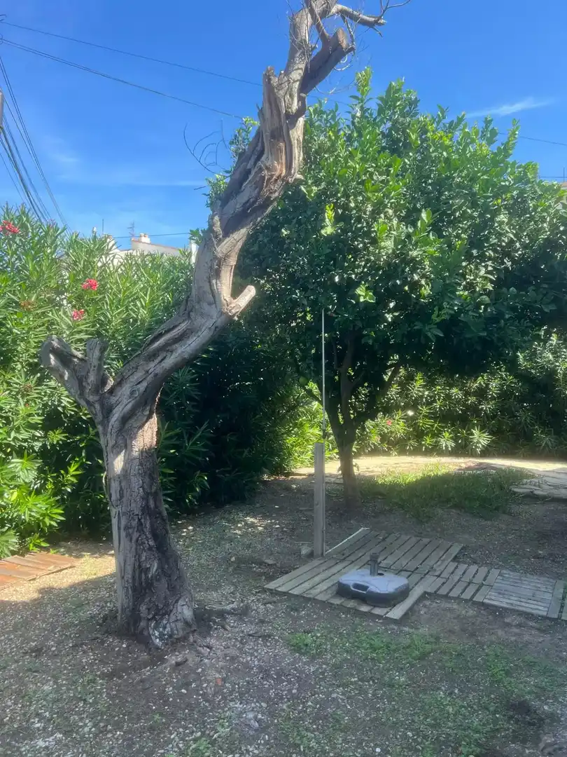 Haus zum Verkauf in Puigmal - Mas Nou, imagen 14
