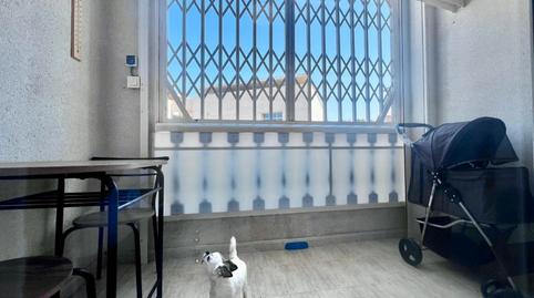 Foto 5 de Planta baixa en venda a El Acequión, Torrevieja