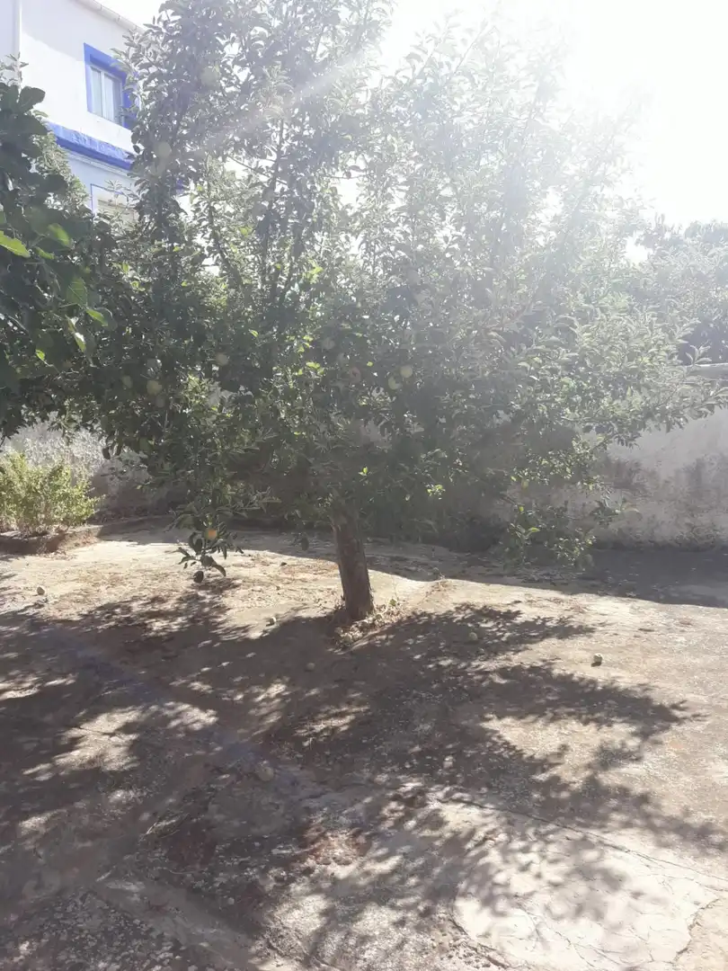 Houses for sale in Serón de Nágima