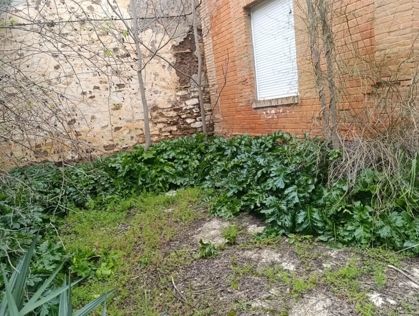 Maison à vendre à Santa Cruz de Mudela, imagen 9
